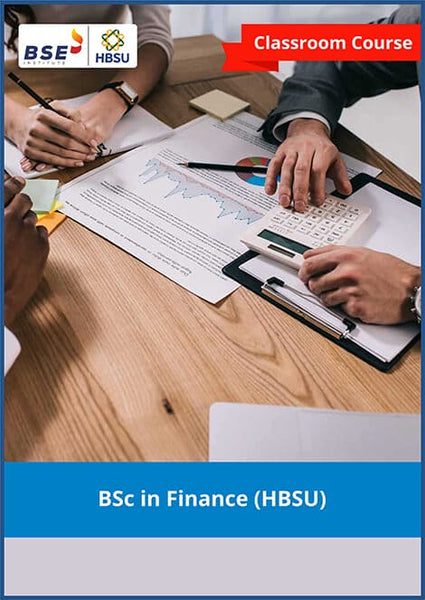 BSc in Finance (HBSU)