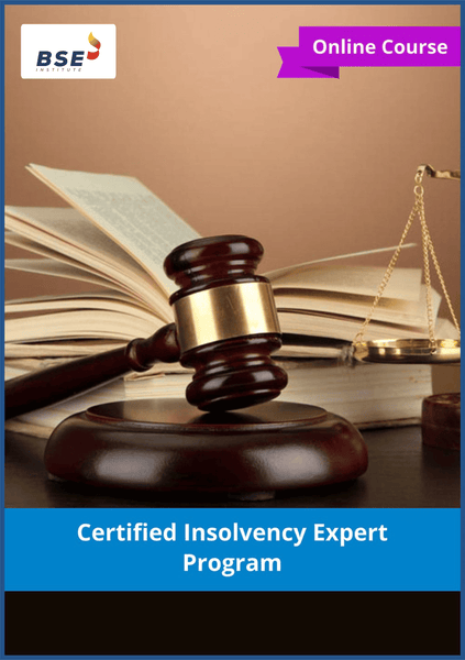 Certified Insolvency Expert Program